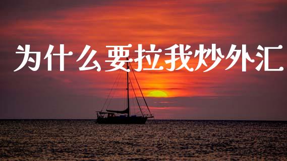 为什么要拉我炒外汇_https://m.lcpcjs.com_白银期货保证金_第1张