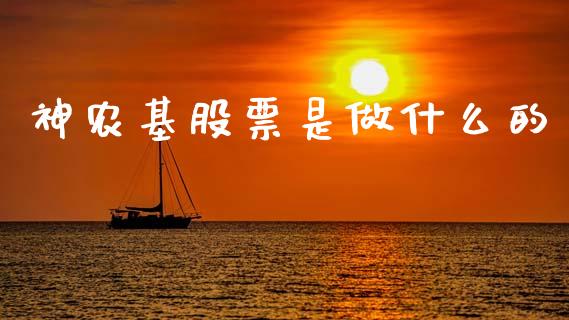 神农基股票是做什么的_https://m.lcpcjs.com_期货交易时间_第1张