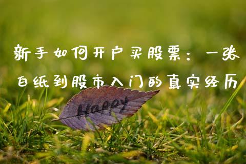 新手如何开户买股票：一张白纸到股市入门的真实经历_https://m.lcpcjs.com_期货交易_第1张