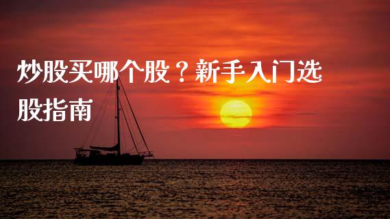 炒股买哪个股？新手入门选股指南_https://m.lcpcjs.com_白银期货保证金_第1张