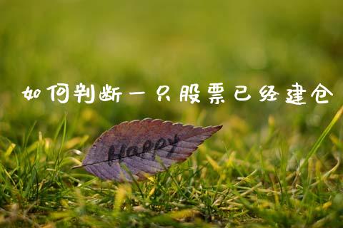 如何判断一只股票已经建仓_https://m.lcpcjs.com_白银期货保证金_第1张
