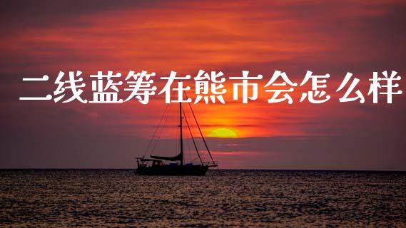 二线蓝筹在熊市会怎么样_https://m.lcpcjs.com_期货交易_第1张