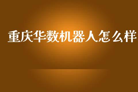 重庆华数机器人怎么样_https://m.lcpcjs.com_恒指期货保证金_第1张