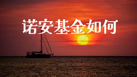 诺安基金如何_https://m.lcpcjs.com_白银期货保证金_第1张