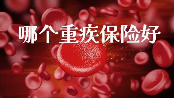 哪个重疾保险好_https://m.lcpcjs.com_白银期货保证金_第1张