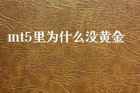 mt5里为什么没黄金_https://m.lcpcjs.com_恒指期货保证金_第1张