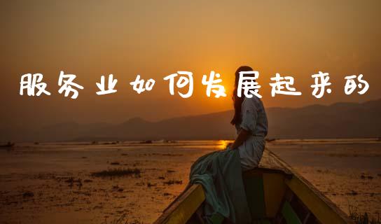 服务业如何发展起来的_https://m.lcpcjs.com_白银期货保证金_第1张