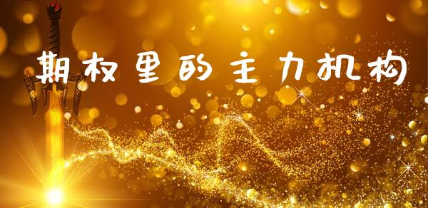 期权里的主力机构_https://m.lcpcjs.com_期货交易时间_第1张