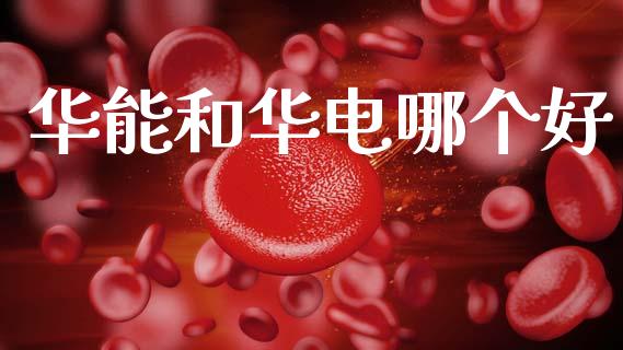 华能和华电哪个好_https://m.lcpcjs.com_期货交易时间_第1张
