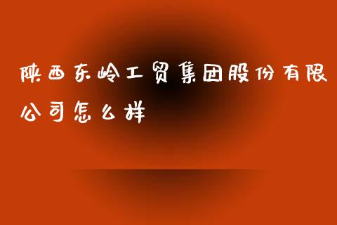 陕西东岭工贸集团股份有限公司怎么样_https://m.lcpcjs.com_恒指期货保证金_第1张