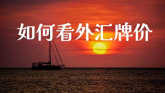 如何看外汇牌价_https://m.lcpcjs.com_期货交易_第1张