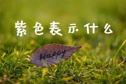 紫色表示什么_https://m.lcpcjs.com_白银期货保证金_第1张