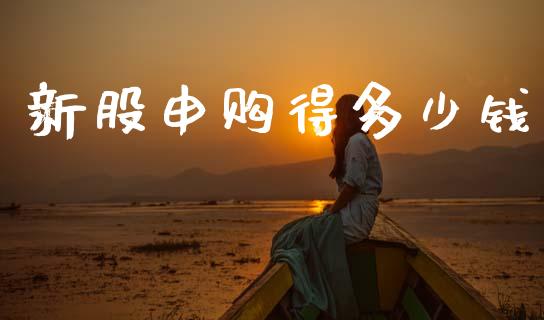 新股申购得多少钱_https://m.lcpcjs.com_白银期货保证金_第1张