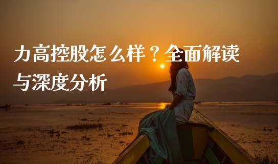 力高控股怎么样？全面解读与深度分析_https://m.lcpcjs.com_白银期货保证金_第1张