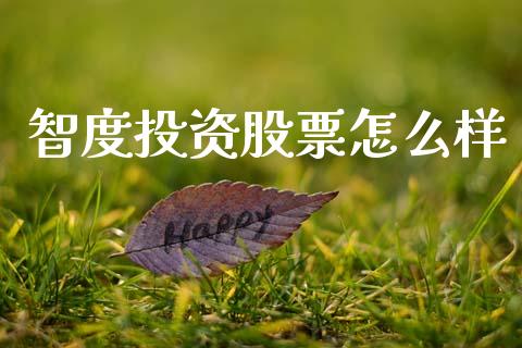 智度投资股票怎么样_https://m.lcpcjs.com_白银期货保证金_第1张