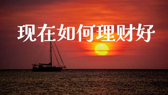 现在如何理财好_https://m.lcpcjs.com_期货交易时间_第1张