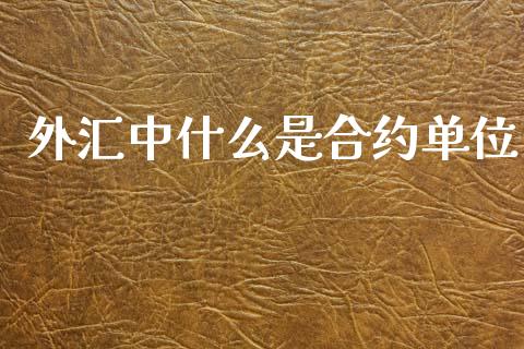 外汇中什么是合约单位_https://m.lcpcjs.com_期货交易时间_第1张