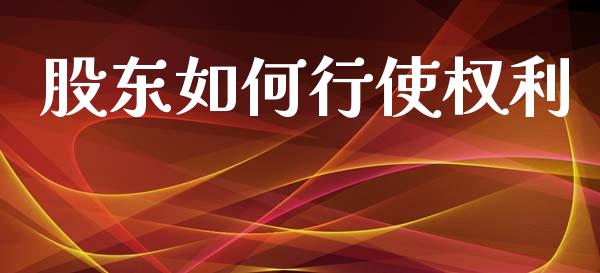 股东如何行使权利_https://m.lcpcjs.com_恒指期货保证金_第1张