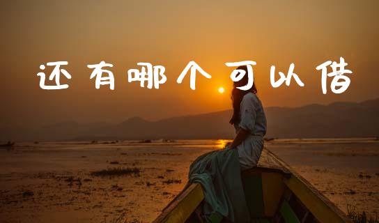 还有哪个可以借_https://m.lcpcjs.com_白银期货保证金_第1张