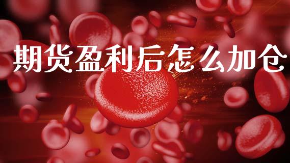 期货盈利后怎么加仓_https://m.lcpcjs.com_期货交易_第1张
