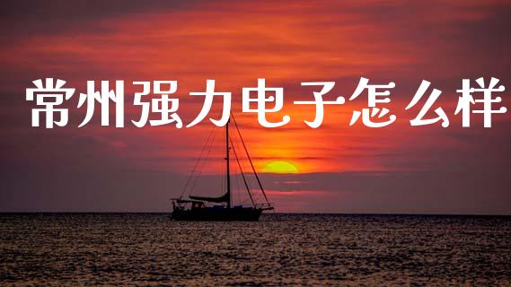 常州强力电子怎么样_https://m.lcpcjs.com_恒指期货保证金_第1张