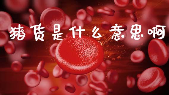 猪货是什么意思啊_https://m.lcpcjs.com_期货交易_第1张