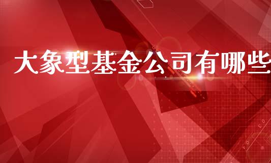 大象型基金公司有哪些_https://m.lcpcjs.com_恒指期货保证金_第1张