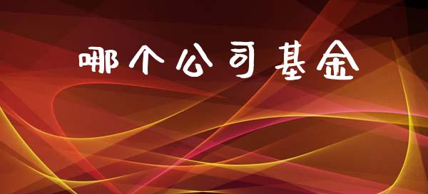哪个公司基金_https://m.lcpcjs.com_期货交易时间_第1张