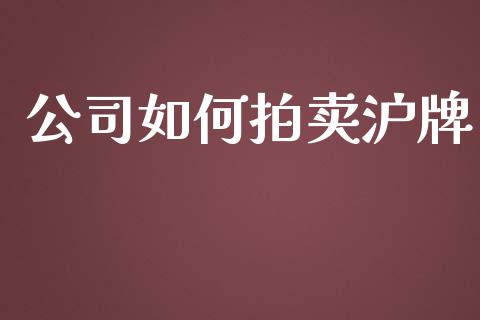 公司如何拍卖沪牌_https://m.lcpcjs.com_期货交易_第1张