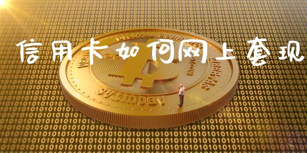 信用卡如何网上套现_https://m.lcpcjs.com_期货交易时间_第1张