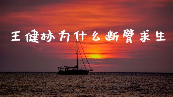 王健林为什么断臂求生_https://m.lcpcjs.com_期货交易_第1张
