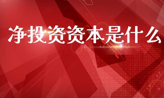净投资资本是什么_https://m.lcpcjs.com_期货交易_第1张
