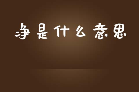 净是什么意思_https://m.lcpcjs.com_恒指期货保证金_第1张