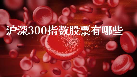沪深300指数股票有哪些_https://m.lcpcjs.com_恒指期货保证金_第1张