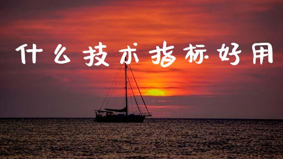 什么技术指标好用_https://m.lcpcjs.com_期货交易_第1张