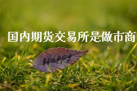 国内期货交易所是做市商_https://m.lcpcjs.com_白银期货保证金_第1张