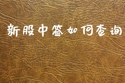 新股中签如何查询_https://m.lcpcjs.com_期货交易时间_第1张