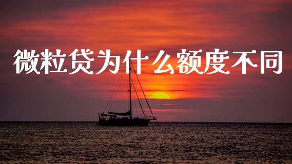 微粒贷为什么额度不同_https://m.lcpcjs.com_恒指期货保证金_第1张