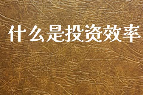 什么是投资效率_https://m.lcpcjs.com_期货交易时间_第1张