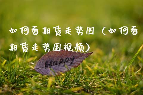 如何看期货走势图（如何看期货走势图视频）_https://m.lcpcjs.com_白银期货保证金_第1张