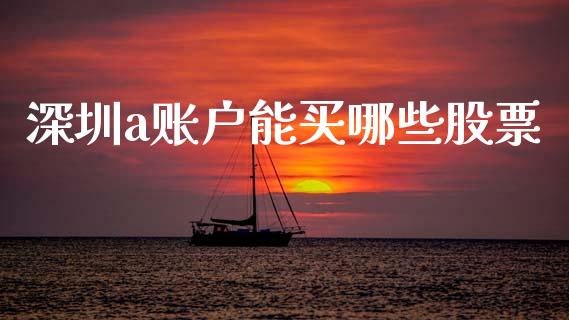 深圳a账户能买哪些股票_https://m.lcpcjs.com_白银期货保证金_第1张