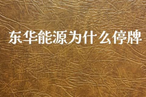 东华能源为什么停牌_https://m.lcpcjs.com_期货交易时间_第1张