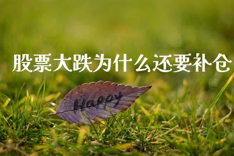 股票大跌为什么还要补仓_https://m.lcpcjs.com_期货交易时间_第1张