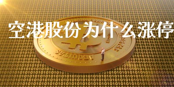 空港股份为什么涨停_https://m.lcpcjs.com_恒指期货保证金_第1张