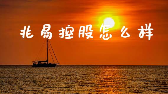 兆易控股怎么样_https://m.lcpcjs.com_期货交易_第1张