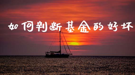 如何判断基金的好坏_https://m.lcpcjs.com_恒指期货保证金_第1张