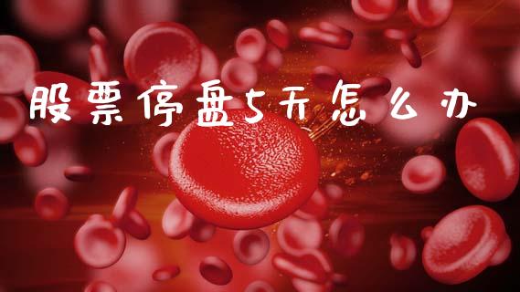 股票停盘5天怎么办_https://m.lcpcjs.com_期货交易_第1张
