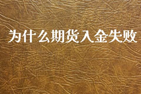 为什么期货入金失败_https://m.lcpcjs.com_恒指期货保证金_第1张