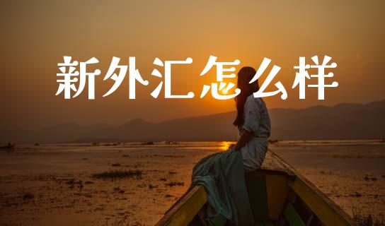 新外汇怎么样_https://m.lcpcjs.com_期货交易时间_第1张