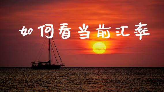 如何看当前汇率_https://m.lcpcjs.com_期货交易_第1张